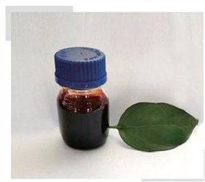 Z-113 环氧树脂固化剂